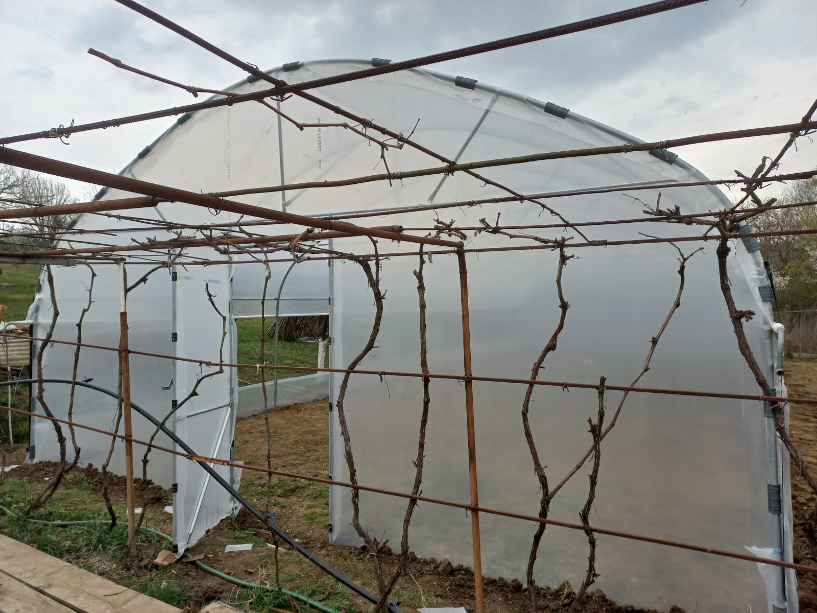 Solar 7m - imagine 1